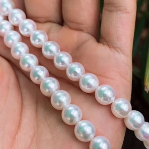 undrilled akoya pearls