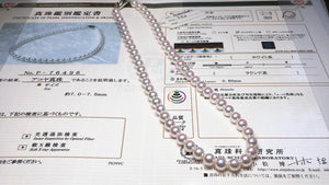 Learn More About Pearl Science Laboratory (PSL) of Japan
