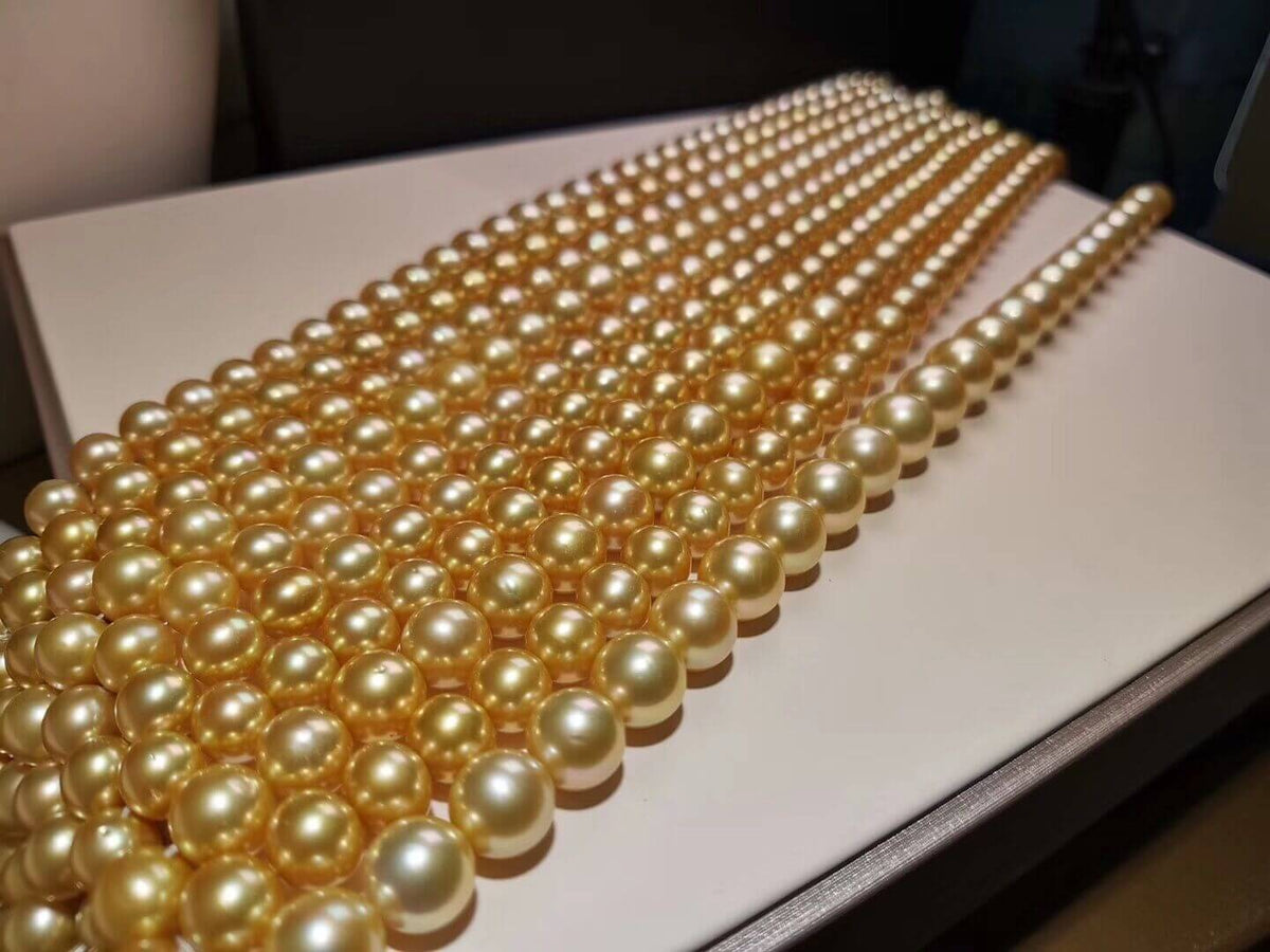 Perlen Gold South_sea_golden_pearl_1200x1200.jpg?v=1581502609