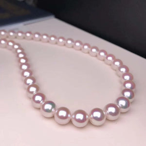japanese akoya pearl necklace with certificate