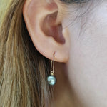 Load image into Gallery viewer, dangle earrings
