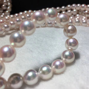 fresh water Japanese akoya pearls bulk